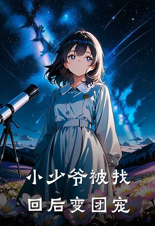 小少爷被找回后变团宠