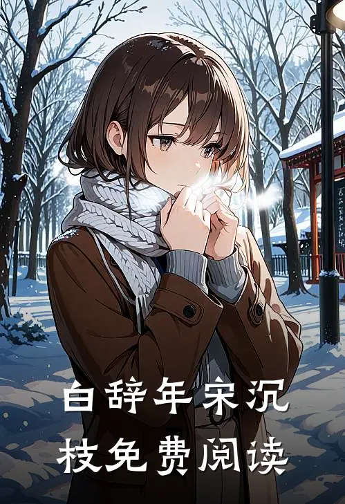 白辞年宋沉枝免费阅读